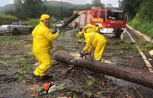 Tempo Chuva E Ventos Fortes Causam Estragos Em Rio Das Antas Portal