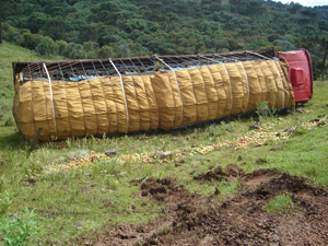 Estradas Caminhão carregado de tomate tomba no interior Portal